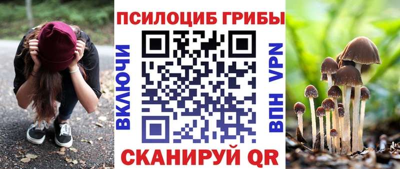 купить наркоту Долгопрудный Галлюциногенные грибы Psilocybe