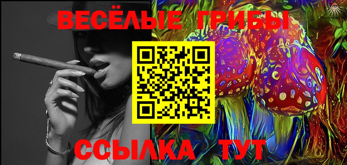 Долгопрудный  Галлюциногенные грибы Cubensis  Вход с VPN 